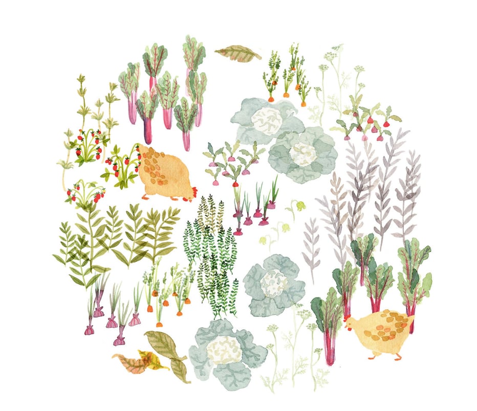 Nature Baby  2018 - Cat Chapman Illustration