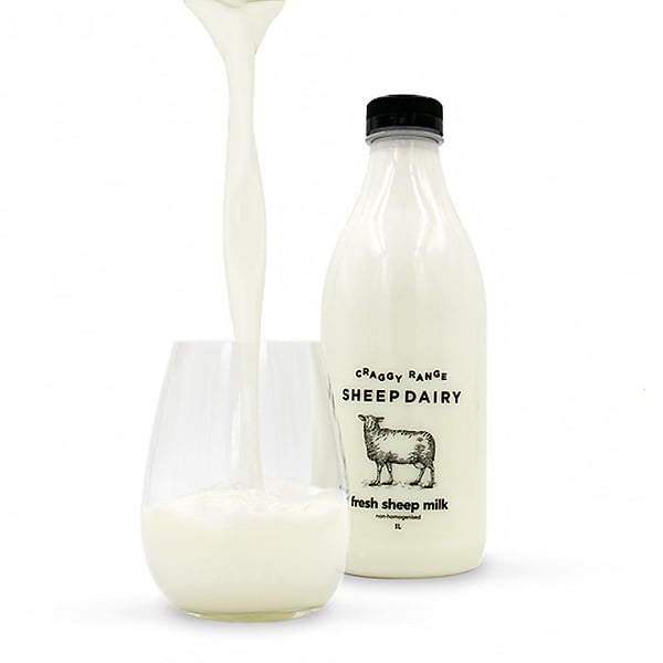 Craggy Range Sheep Dairy - Cat Chapman Illustration