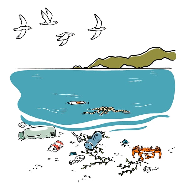 Ecostore Little Bits Of Good - Cat Chapman Illustration