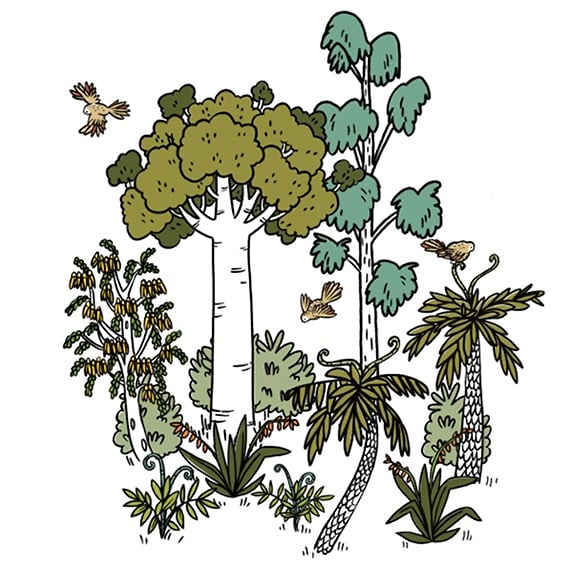 Ecostore Little Bits Of Good - Cat Chapman Illustration