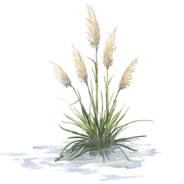 Earth Smart Aquawipes - Cat Chapman Illustration
