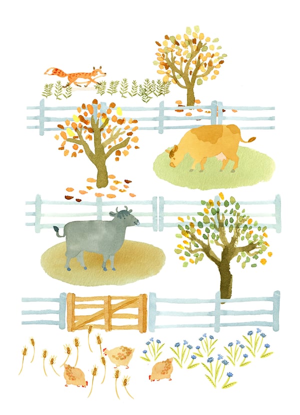 OTHER WORK - Cat Chapman Illustration