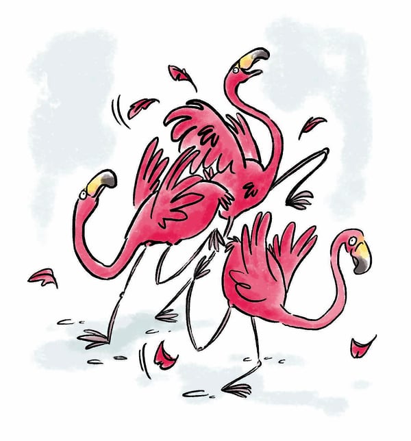 Flamingos Everywhere - Cat Chapman Illustration