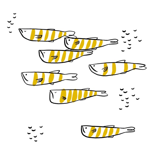 OTHER WORK - Cat Chapman Illustration