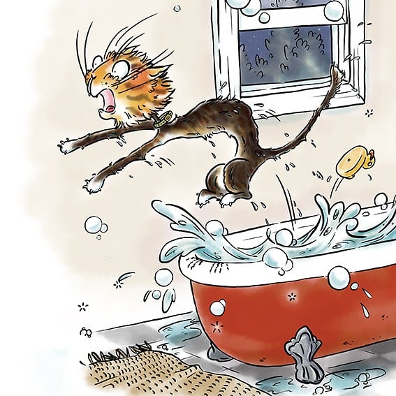 Poetry Cards - Cat Chapman Illustration
