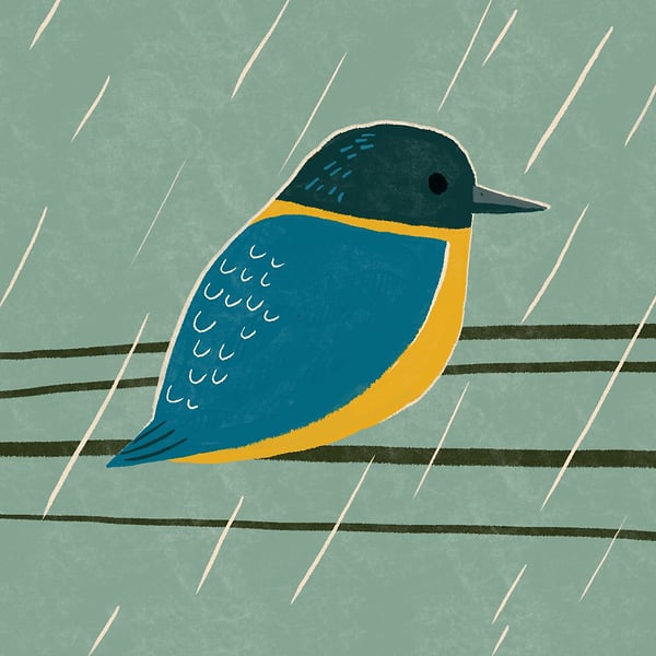 OTHER WORK - Cat Chapman Illustration