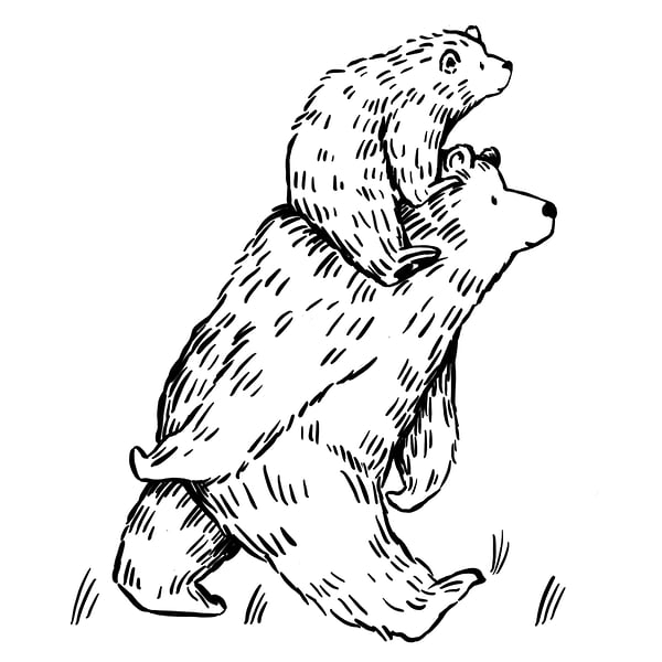 Nature Baby  2018 - Cat Chapman Illustration