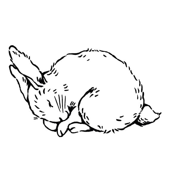 Nature Baby 2021 - Cat Chapman Illustration