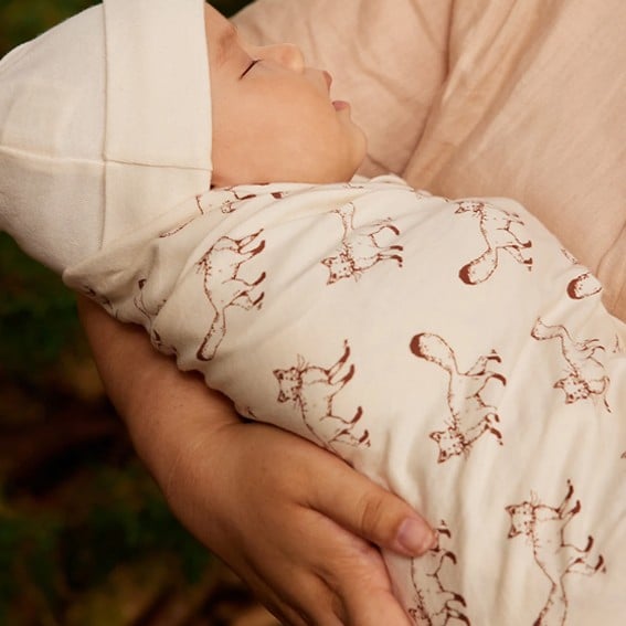 Nature Baby 2021 - Cat Chapman Illustration