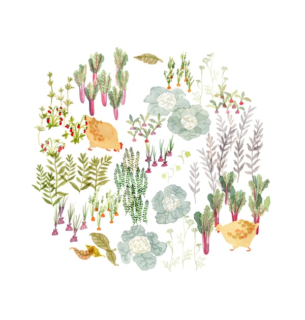 Nature Baby  2018 - Cat Chapman Illustration