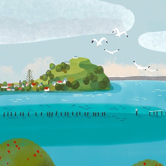 OTHER WORK - Cat Chapman Illustration