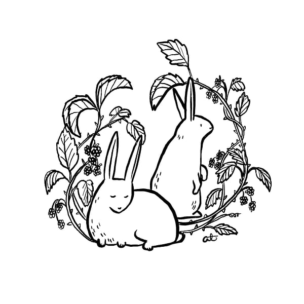 OTHER WORK - Cat Chapman Illustration