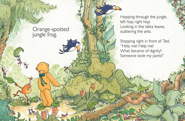The Frog Who Lost His Underpants - Cat Chapman Illustration